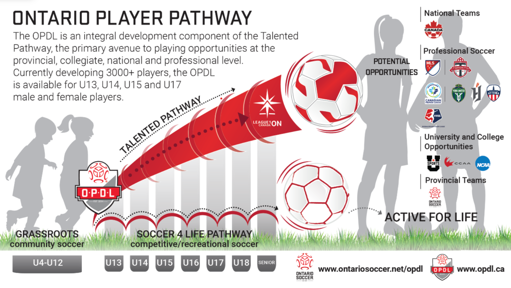 OPDL Pathway